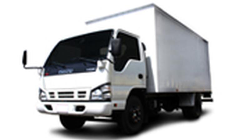 Ковры для Isuzu NQR-75 / Hino 300 (1993+)